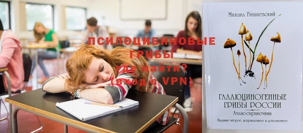 кокс Алзамай