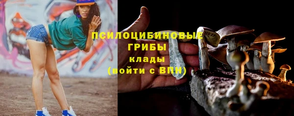 кокс Алзамай