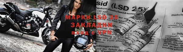 кокс Алзамай